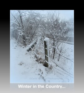 winter-in-the-country-ref-frame-caption-watermark-img_1817-2